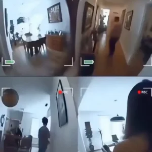 746129693 2479279362585923 2440308447157445679 N