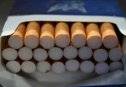 331g31g13
